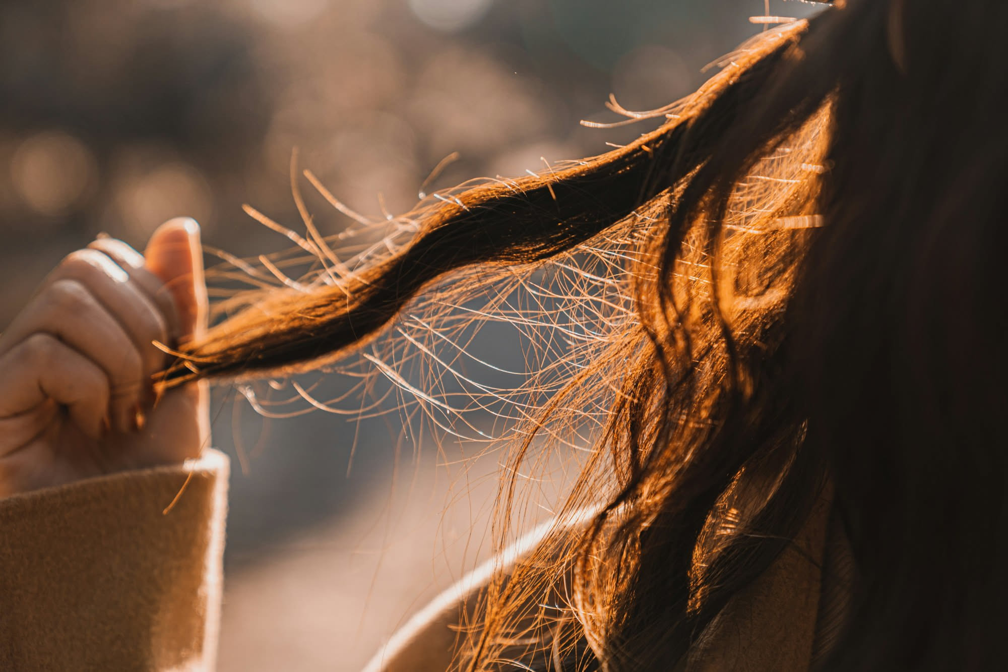 Caduta autunnale: perché a settembre si perdono più capelli e quando finisce