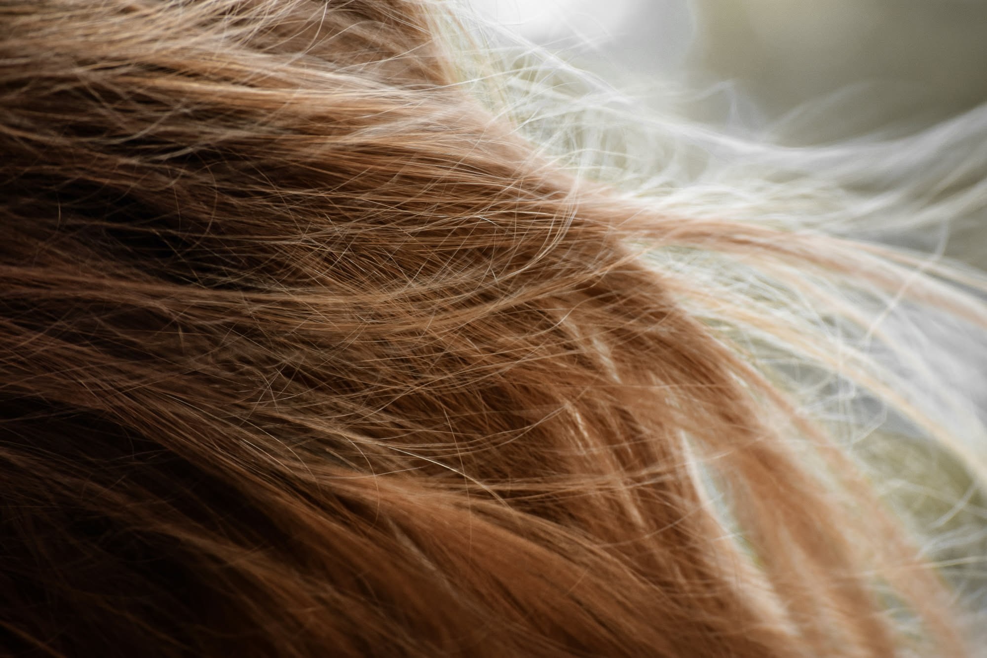 Capelli che si gonfiano con l’umidità: perché accade e come gestirli